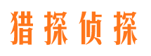 莱山寻人公司